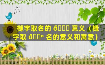 橼字取名的 🐞 意义（橼字取 🐺 名的意义和寓意）